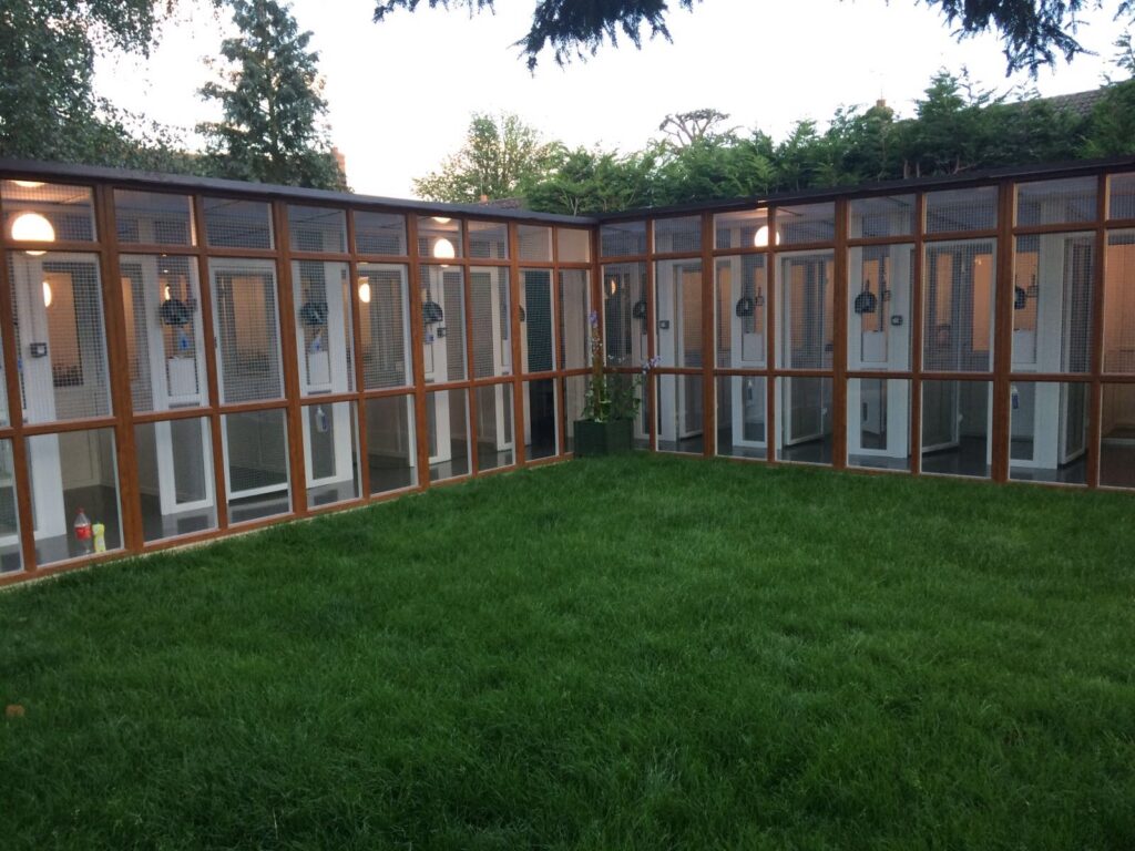 Luxury Cattery